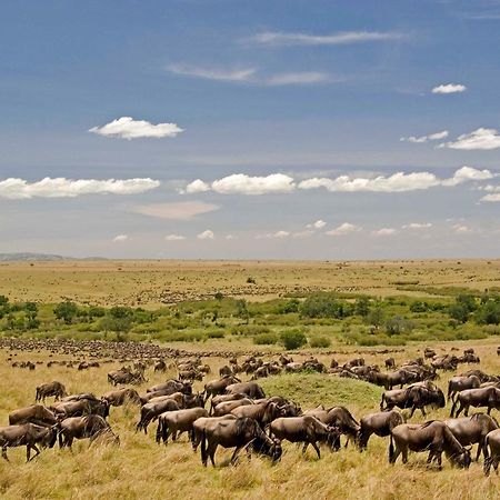 Mara Intrepids Tented Camp Talek Exterior foto