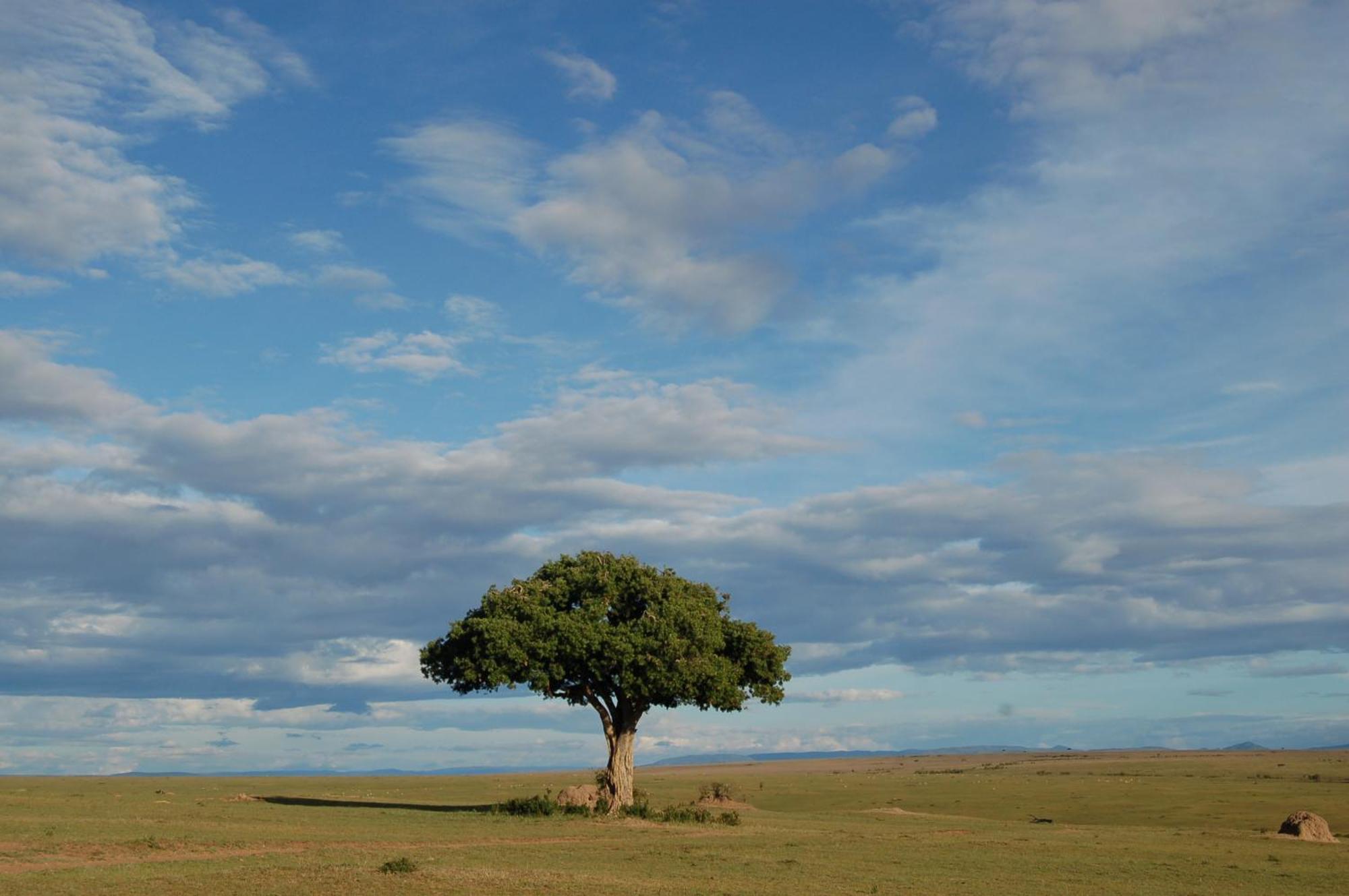 Mara Intrepids Tented Camp Talek Exterior foto