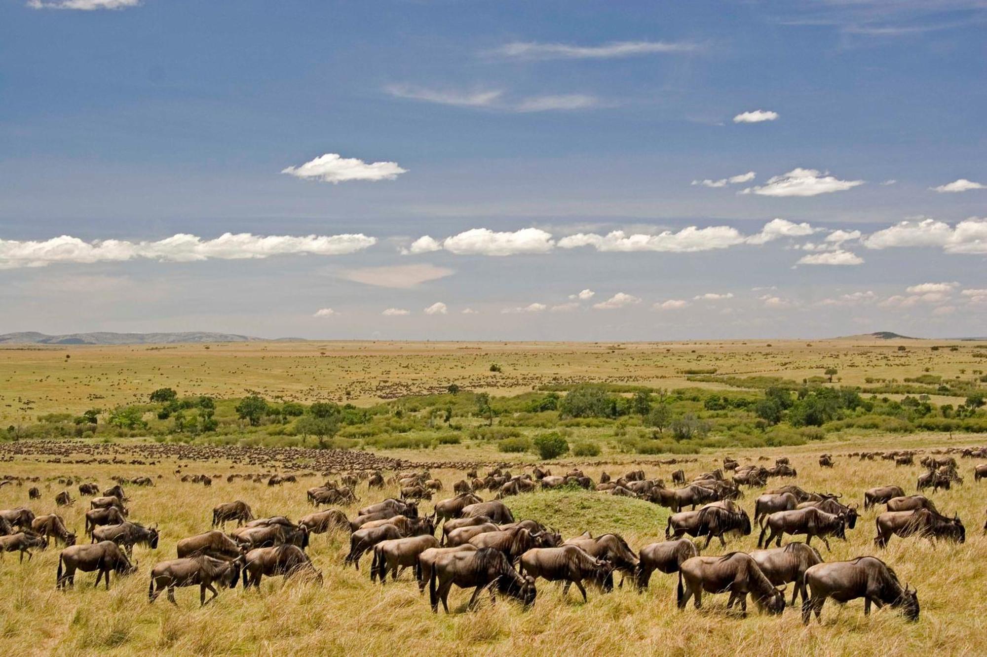 Mara Intrepids Tented Camp Talek Exterior foto
